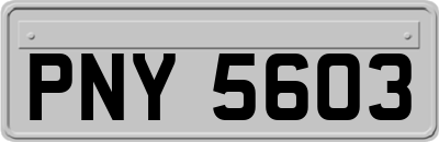 PNY5603