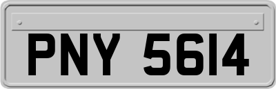 PNY5614