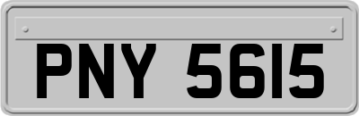 PNY5615