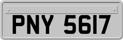PNY5617
