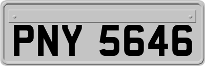 PNY5646
