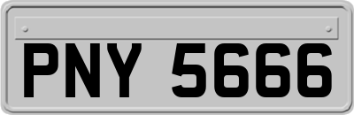 PNY5666