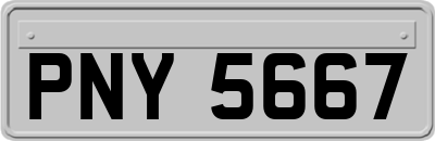 PNY5667