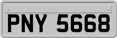 PNY5668