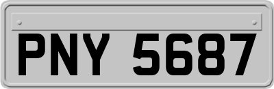 PNY5687