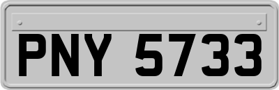 PNY5733