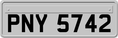 PNY5742