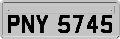 PNY5745