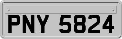 PNY5824
