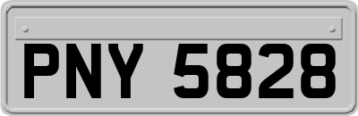 PNY5828