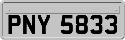 PNY5833