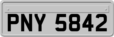 PNY5842