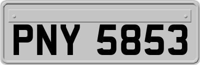 PNY5853