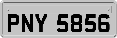PNY5856