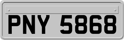 PNY5868