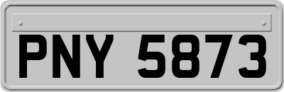 PNY5873