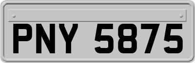 PNY5875