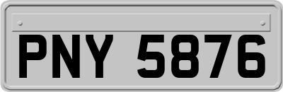 PNY5876