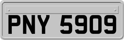 PNY5909