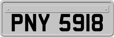 PNY5918