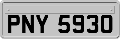 PNY5930