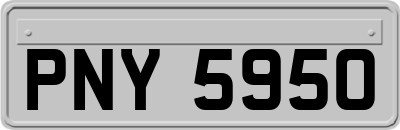 PNY5950