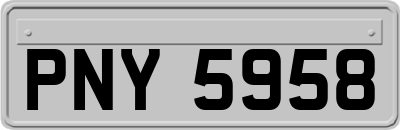 PNY5958