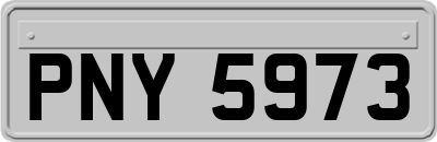 PNY5973