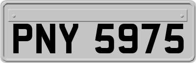 PNY5975