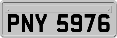 PNY5976