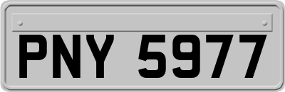 PNY5977