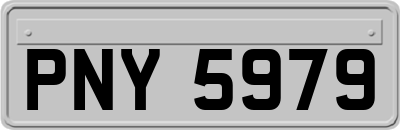 PNY5979