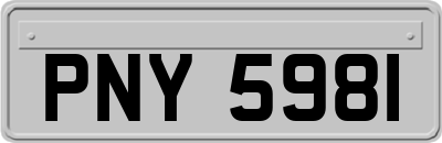 PNY5981