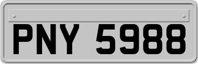 PNY5988