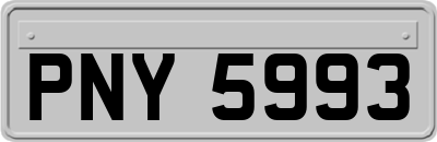PNY5993