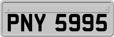 PNY5995