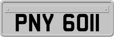 PNY6011
