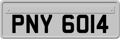 PNY6014