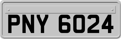 PNY6024
