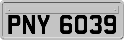 PNY6039