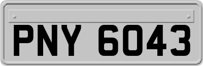 PNY6043