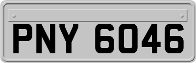 PNY6046
