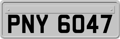 PNY6047
