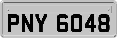 PNY6048