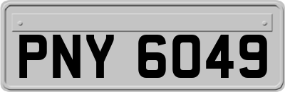 PNY6049