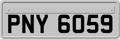 PNY6059