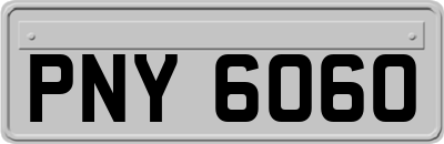 PNY6060