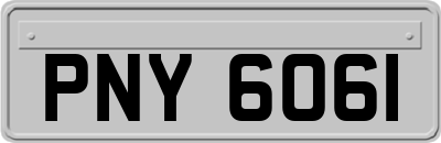 PNY6061