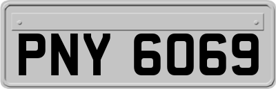 PNY6069
