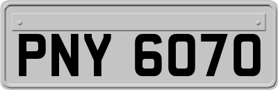 PNY6070